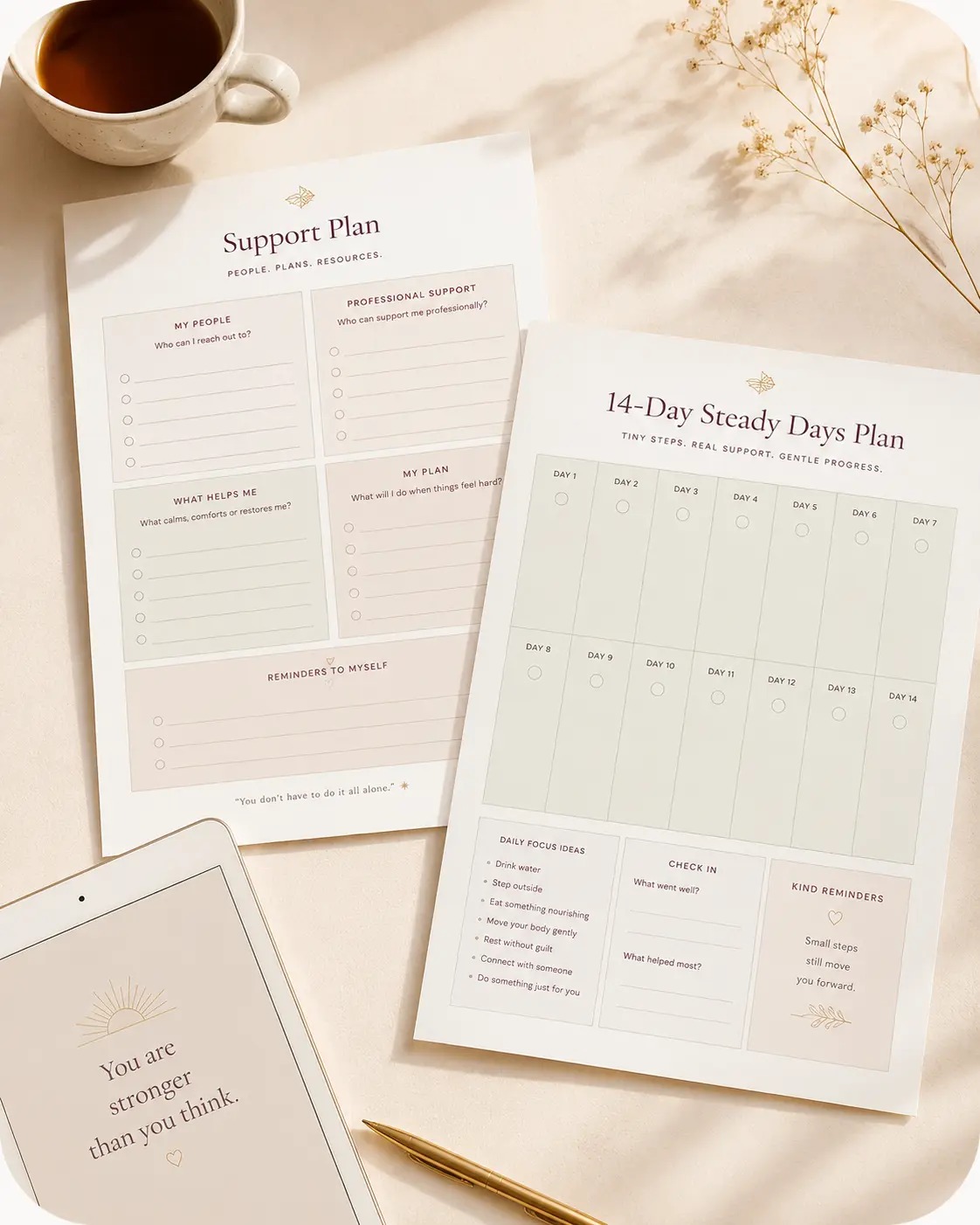Support plan worksheet beside the 14-day steady days plan grid
